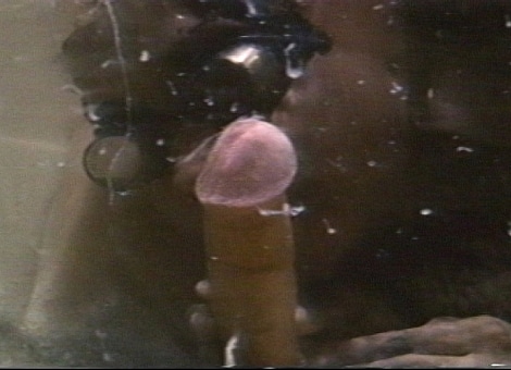 Hot Pursuit - Vintage Uw Porn