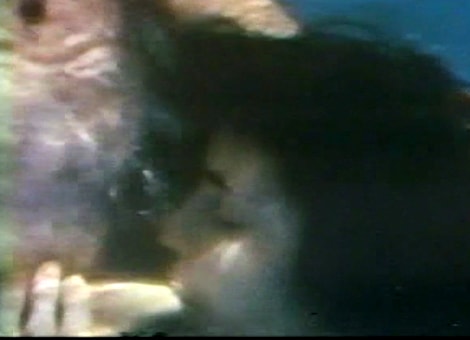 Come Softly - Vintage Uw Porn