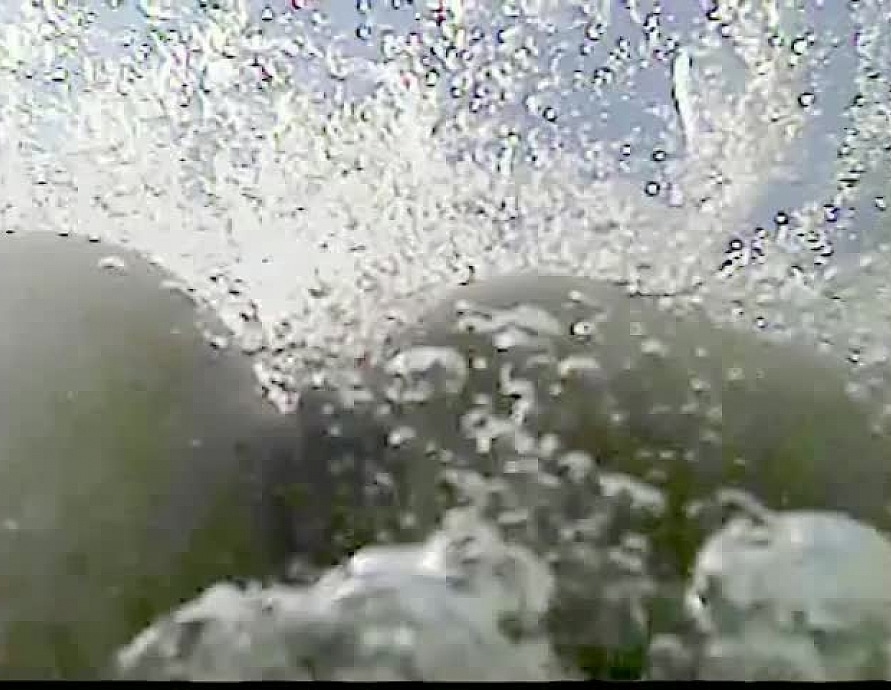 Shelby Chase Gropecam Blow Job