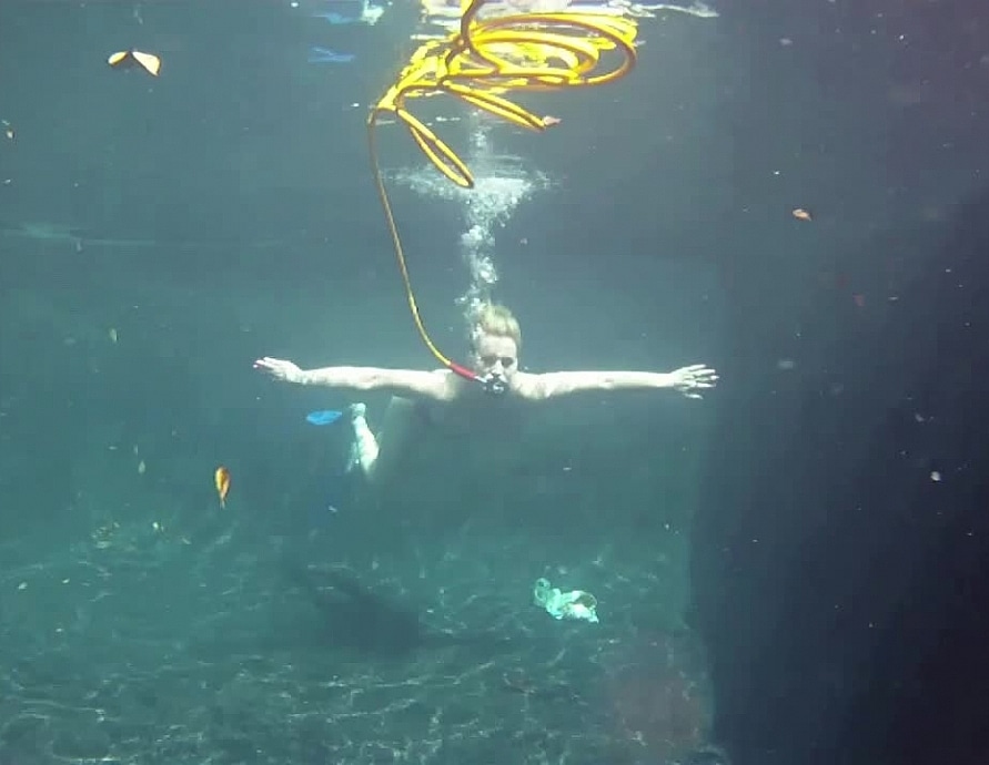 Topanga Fox Gropecam Scuba Blow Job