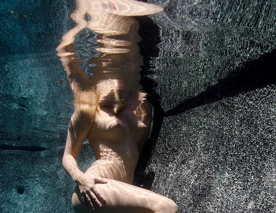 Dixie Belle Uw Model Training