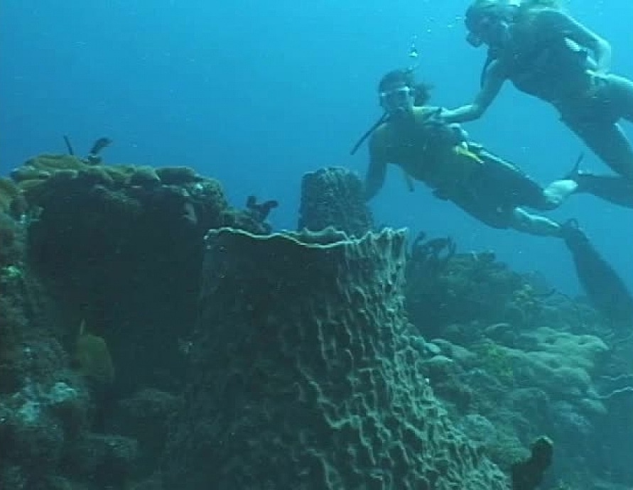 Sea Slurper-Hunters of the Great White