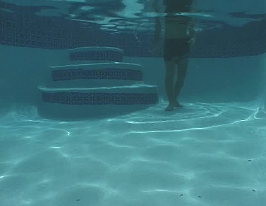 Silky-Hunters of the Great White